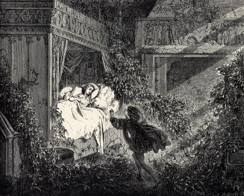 la belle au bois dormant