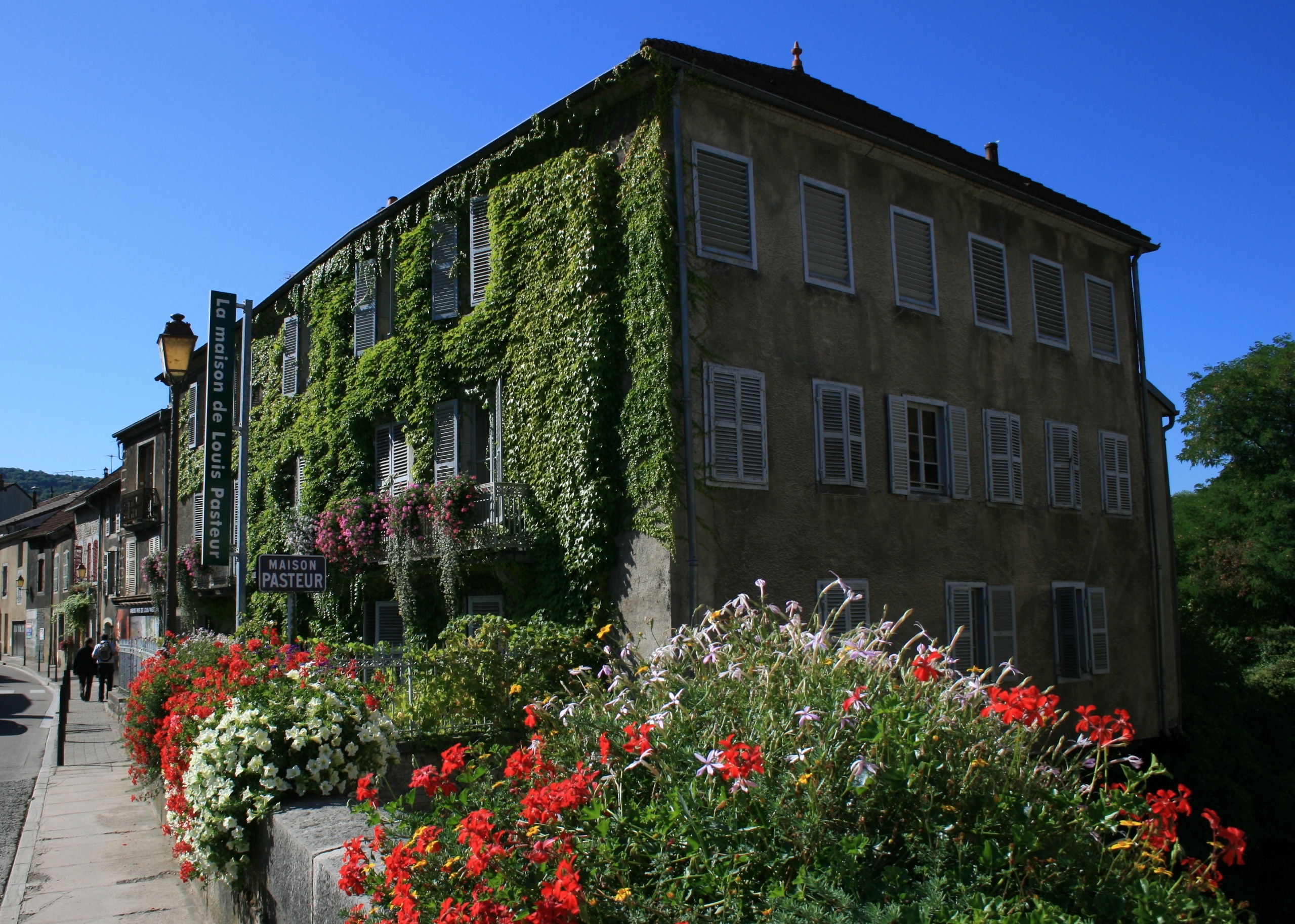 maison pasteur