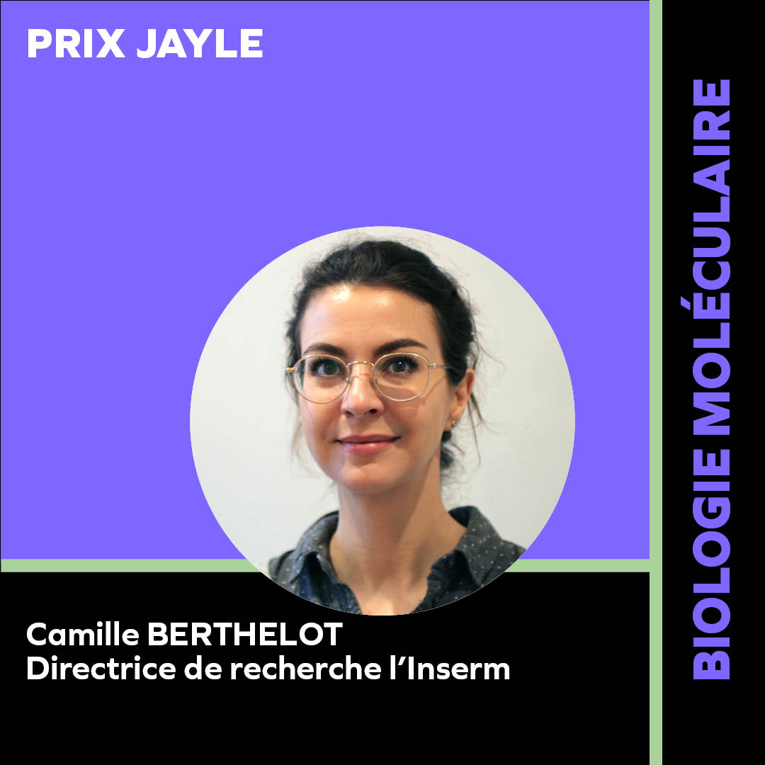 BERTHELOT CAMILLE