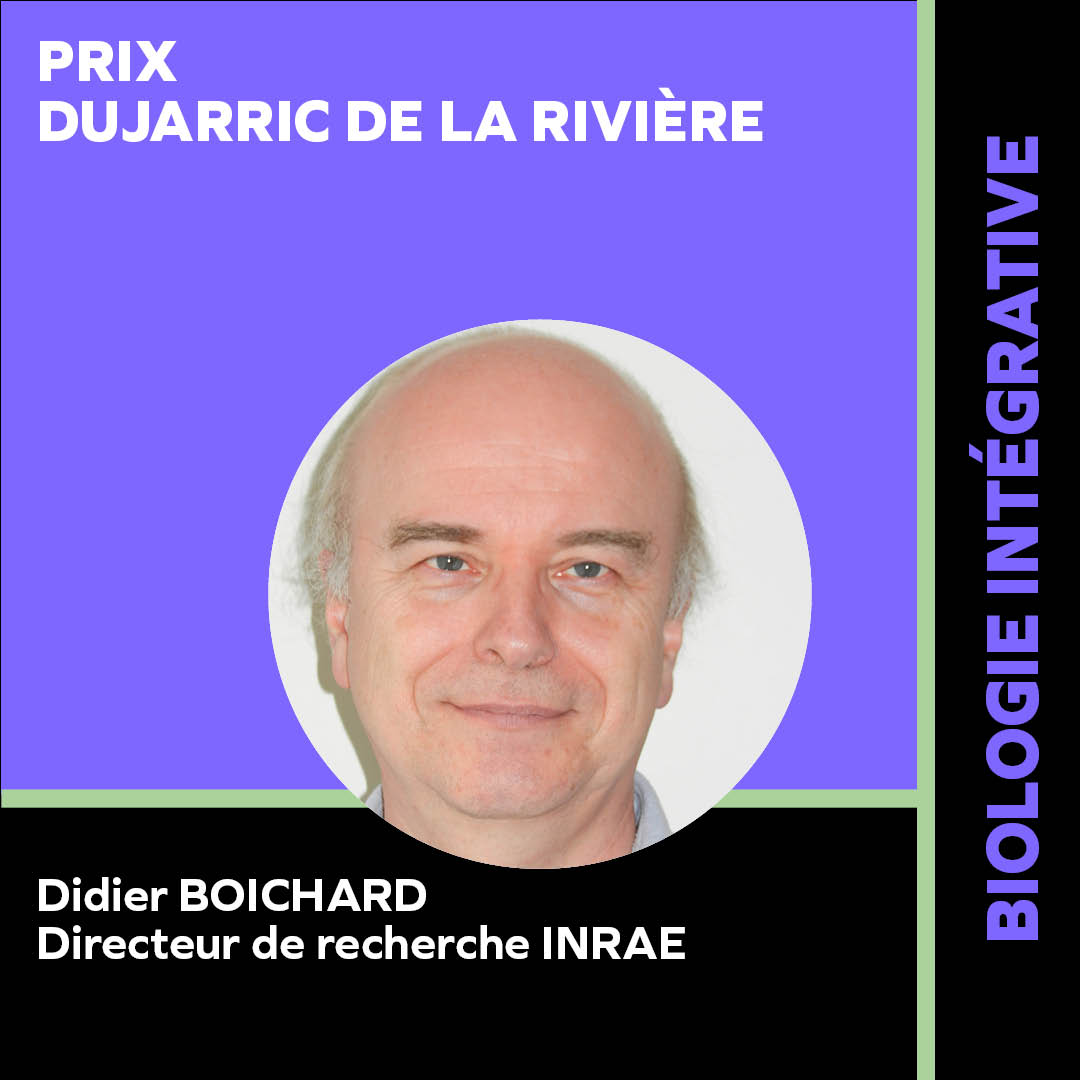 BOICHARD DIDIER