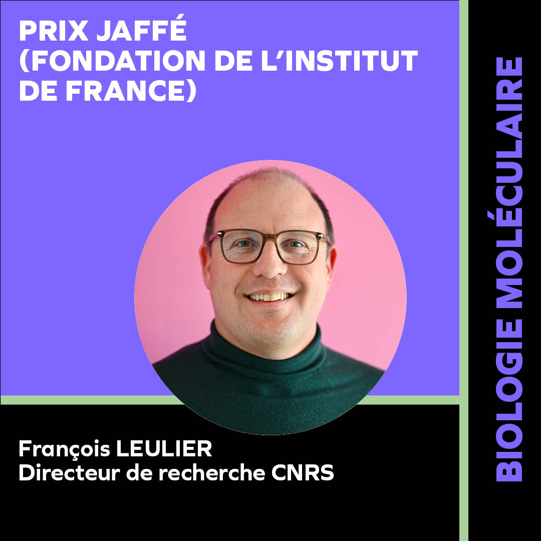 LEULIER FRANCOIS