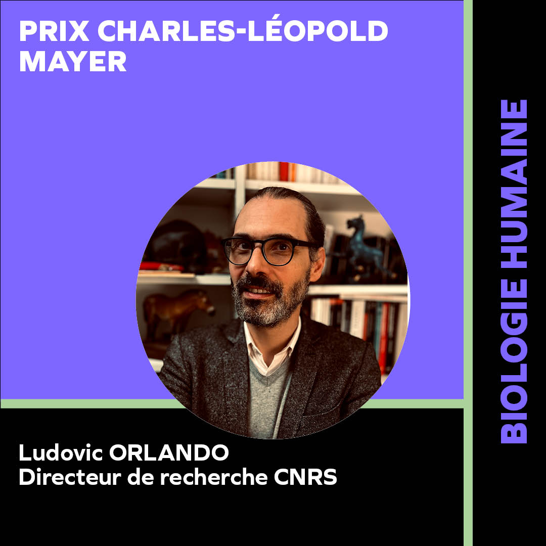 ORLANDO LUDOVIC