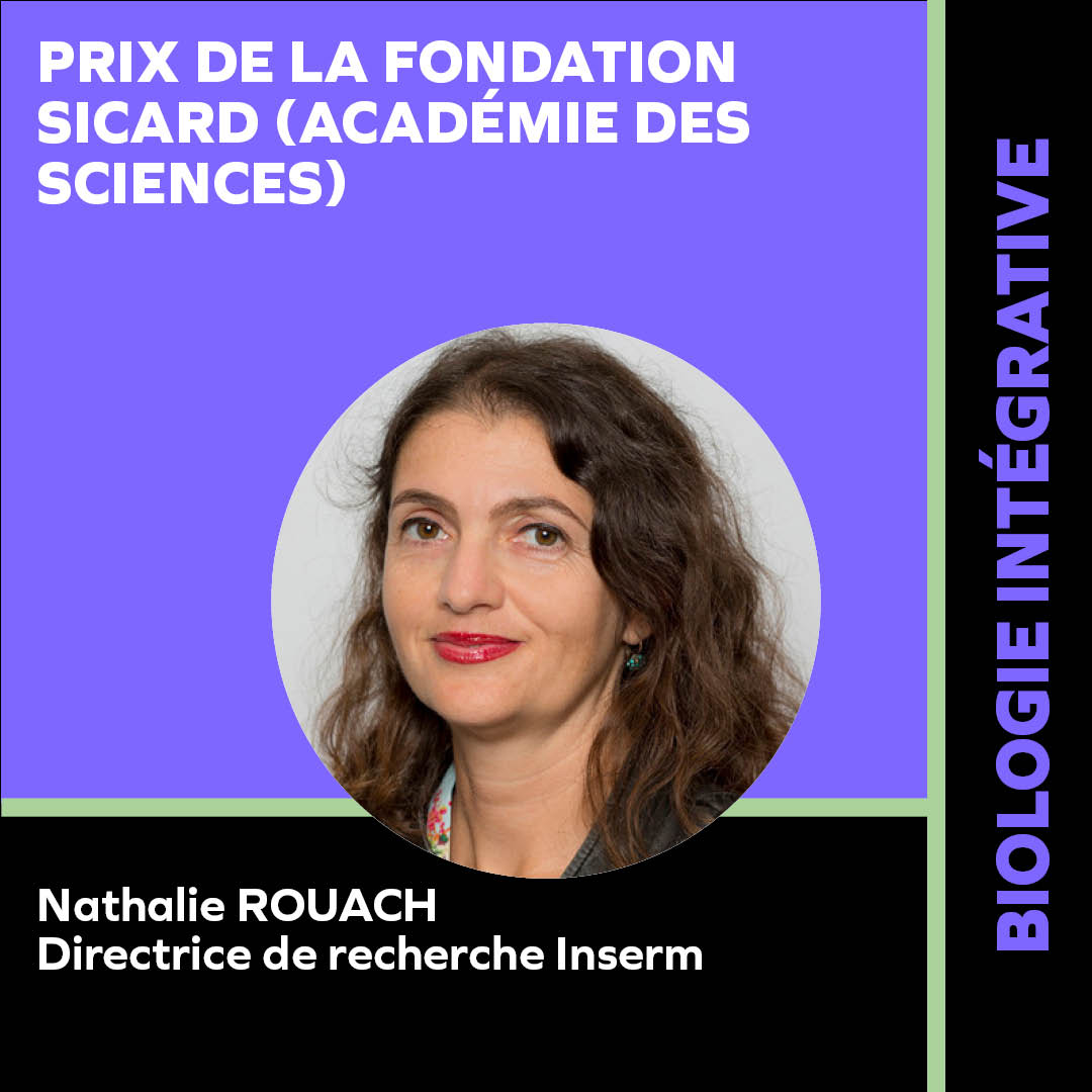 ROUACH NATHALIE