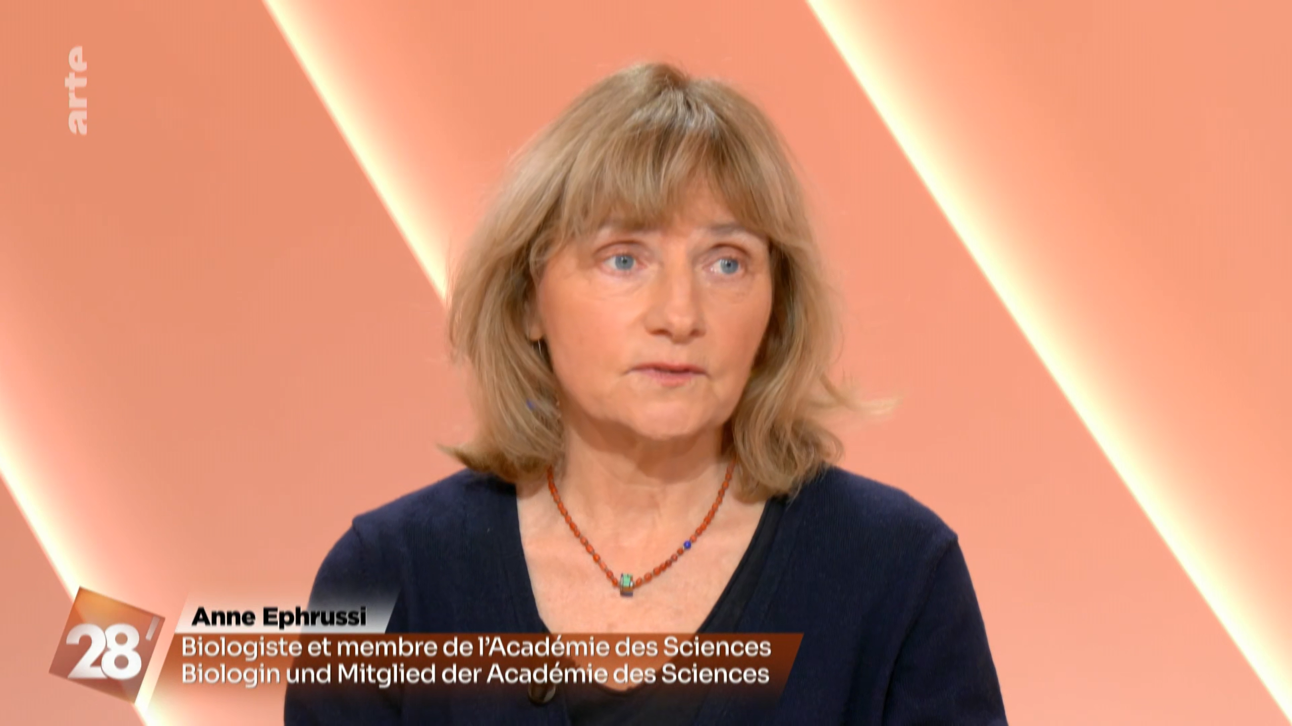 Anne Ephrussi sur Arte