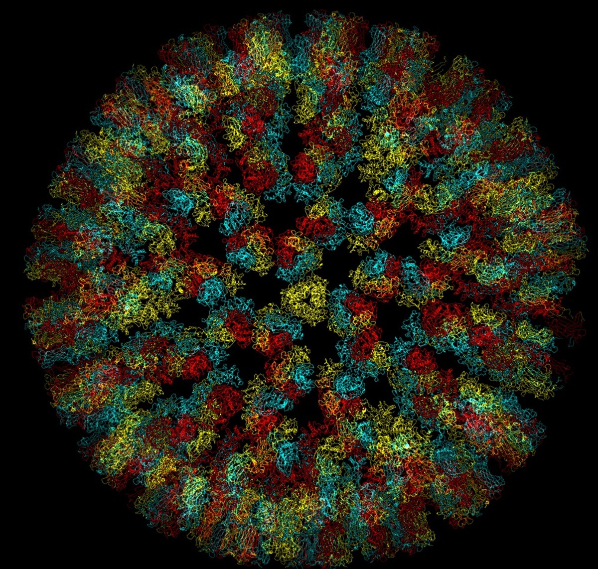 Reconstruction de la structure d'un virus entier en combinant radiocristallographie et cryo-microsco