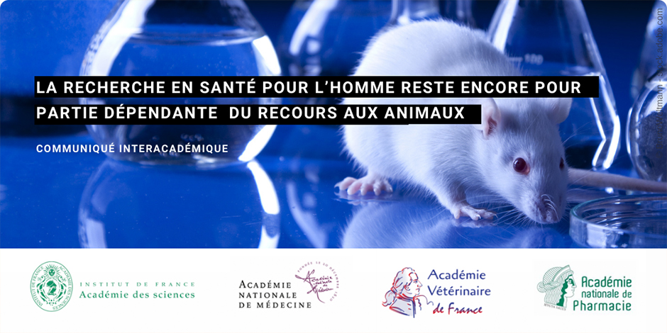 La recherche en santé pour l’homme reste encore pour partie dépendante du recours aux animaux