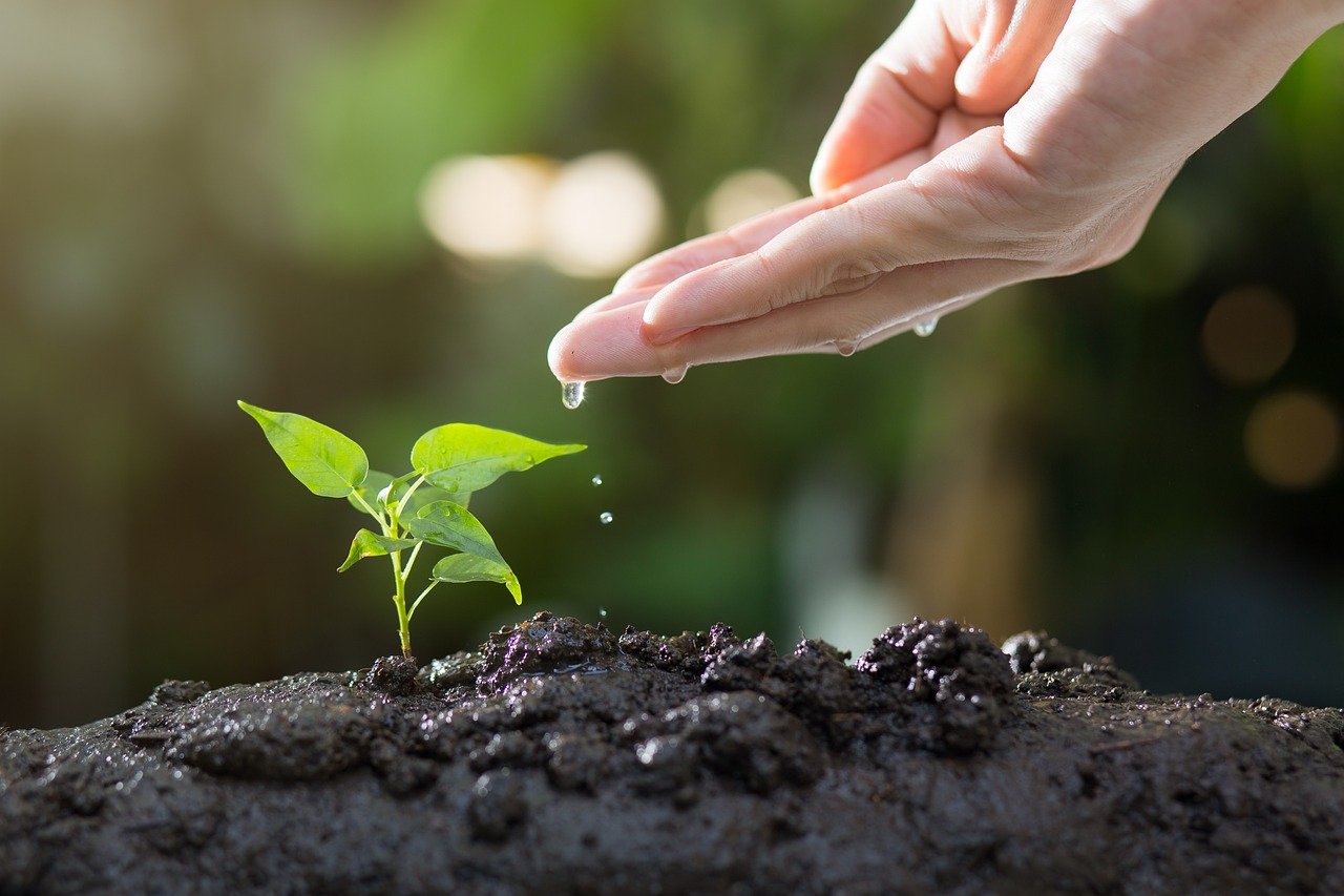 Communiqué de presse | Ecologie, réchauffement climatique et déclin de la biodiversité