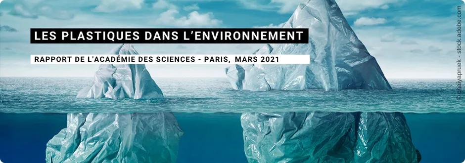 Les plastiques dans l'environnement