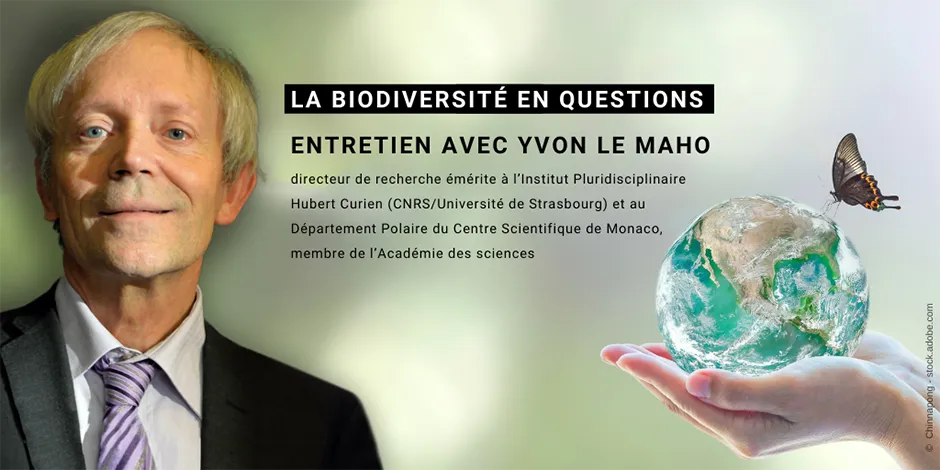 La biodiversité en questions - Entretien avec Yvon Le Maho