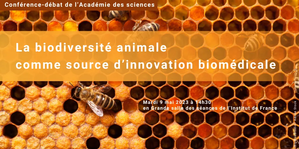 La biodiversité animale comme source d’innovation biomédicale