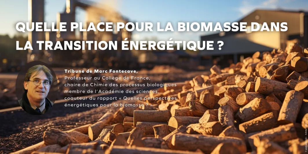 Quelle place pour la biomasse dans la transition énergétique ? - Marc Fontecave - L'HUMANITÉ MAGAZINE