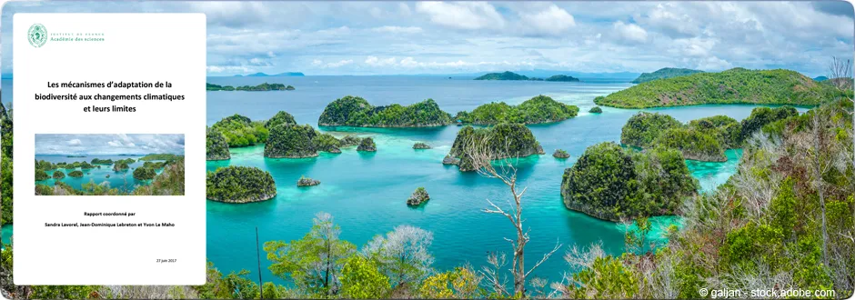 Les mécanismes d’adaptation de la biodiversité aux changements climatiques et leurs limites